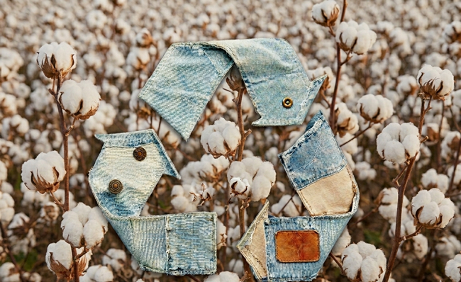Organic Denim